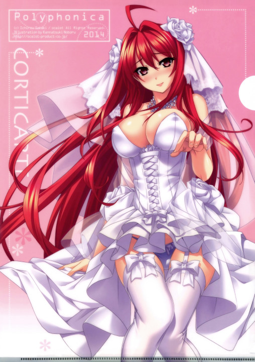 shinkyoku soukai polyphonica corticarte apa lagranges white stockings wedding dress anime girl lingerie big tits