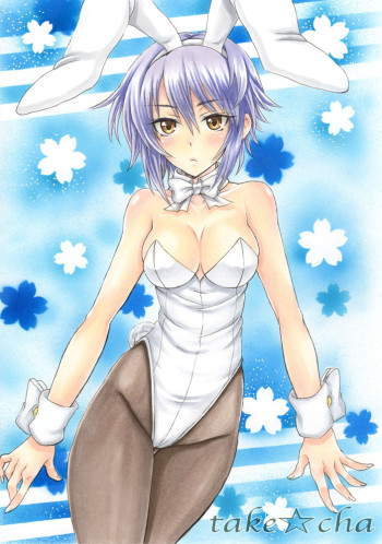 suzumiya haruhi no yuuutsu nagato yuki bunny costume anime stockings girl tights nylon boobs